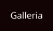 Galleria